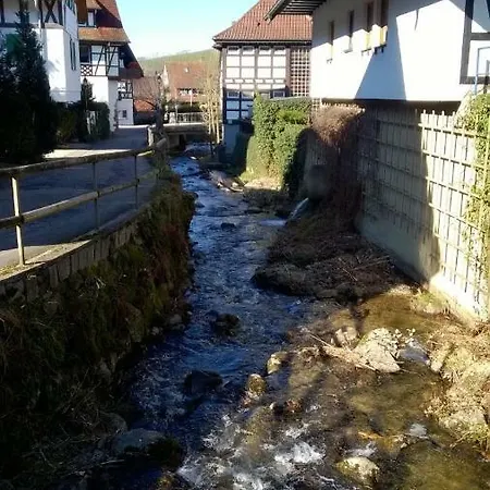 Ferienwohnung Mit Pool In Apartment Sasbachwalden